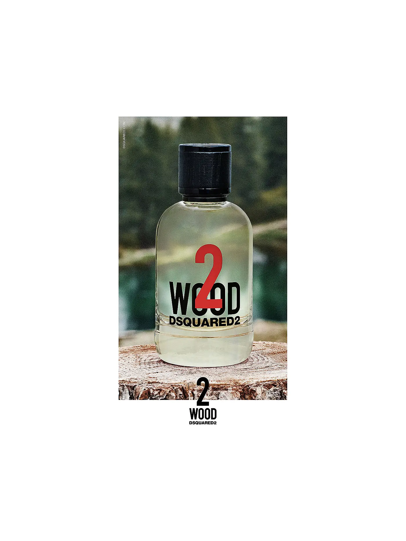 DSQUARED2 | 2 Wood Eau de Toilette 50ml | 